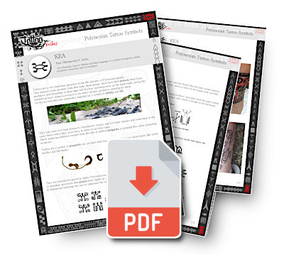 PDF card preview: Turtle symbol
