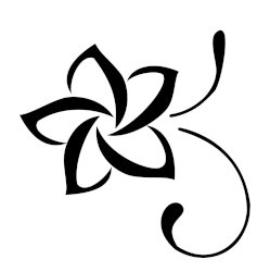 Flower of frangipani