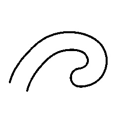Polynesian tattoo symbol koru