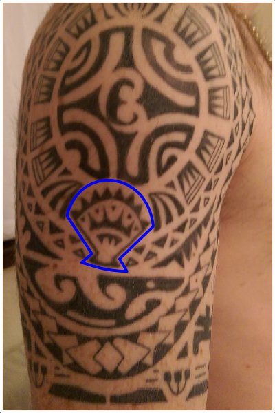 Bivalve shell tattoo symbol