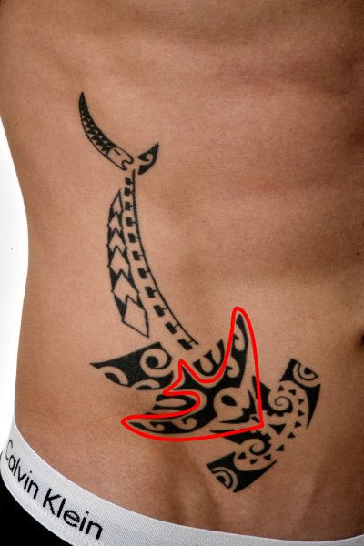 Tenacity hammerhead shark tattoo