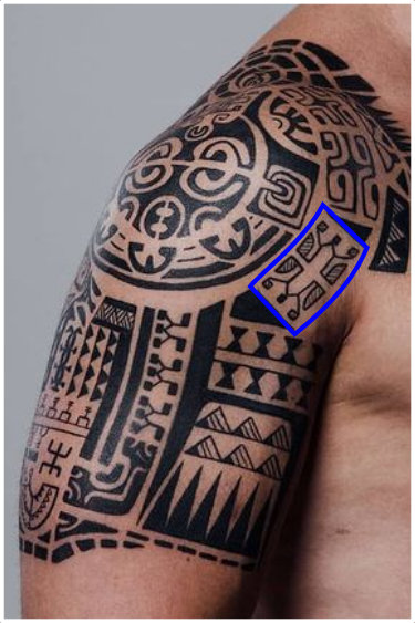 Turtle in Marquesan legband tattoo Turtle in Marquesan legband tattoo
