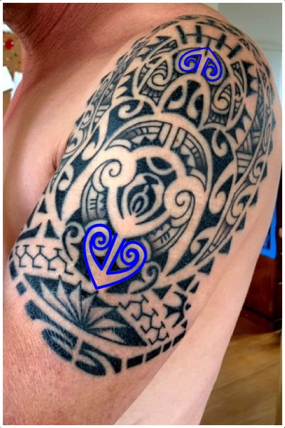 Tenacity hammerhead shark tattoo