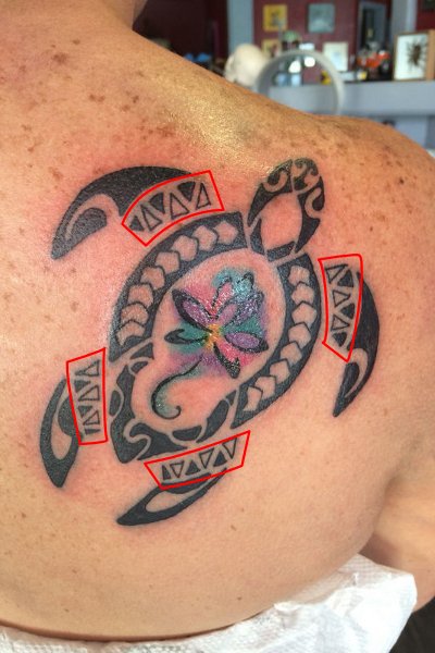 Lotus andi turtle tattoo