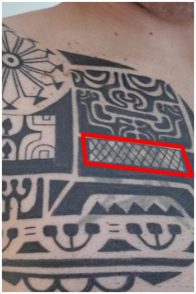 Net motif in Marquesan pec tattoo