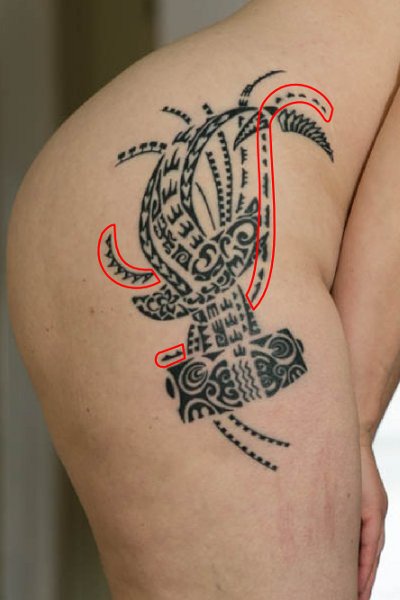 Polynesian hammerhead shark tattoo