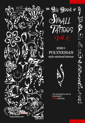 Book back cover
